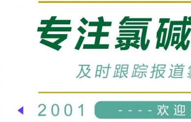 化工废盐处理与离子膜烧碱生产耦合示范项目通过性能验收